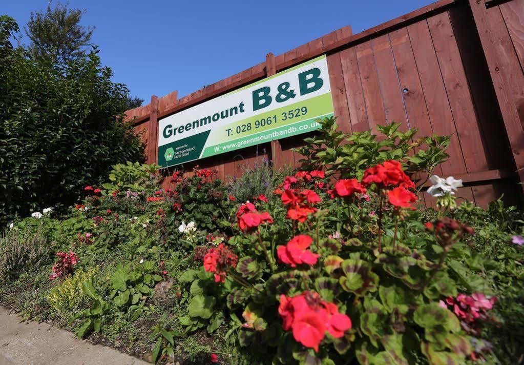 Greenmount Bed And Breakfast Belfast Exterior photo